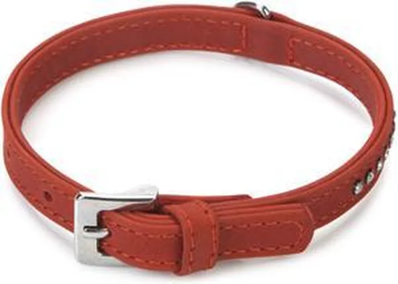 leren halsband Buffalo Strass. 32 cm x 12 mm. de Beeztees en Rouge – photo produit