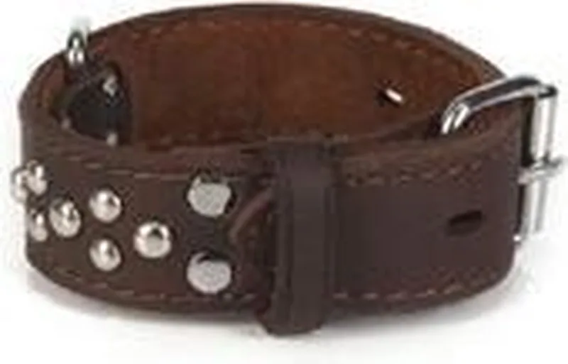 Leren halsband Noppy by Beeztees in Brown – product photo