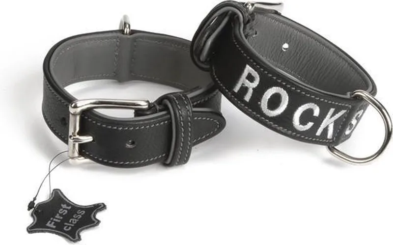 Leren halsband Rockstar. by Beeztees in Black – product photo