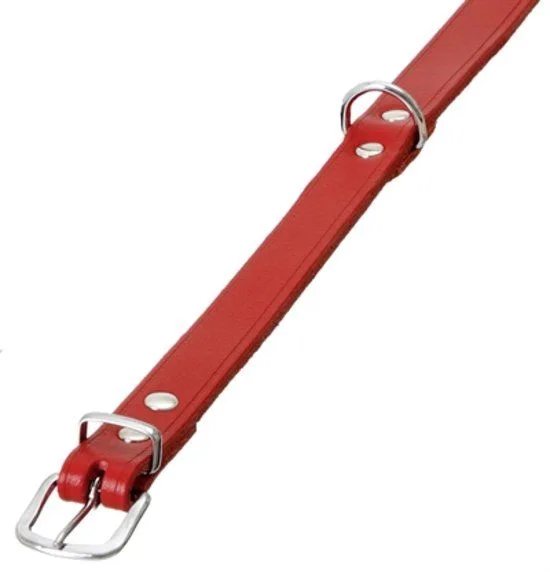 Leren Halsband Rood van Beeztees – productfoto