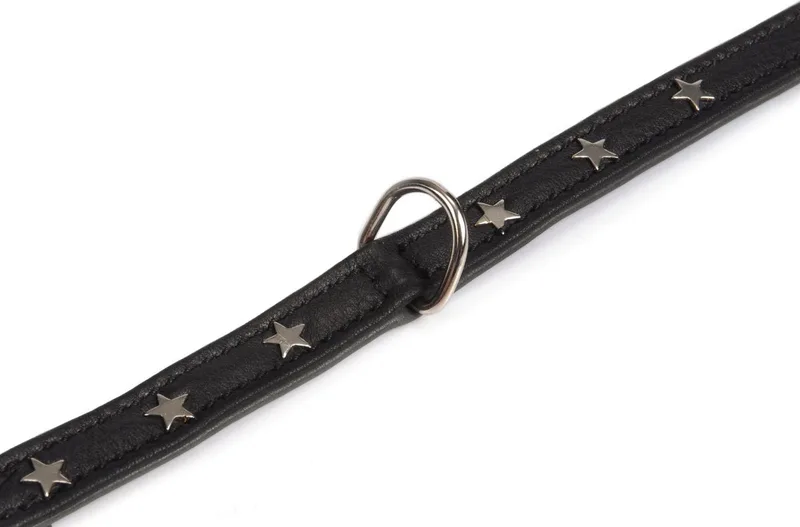 Leren halsband Stars. by Beeztees in Black – product photo
