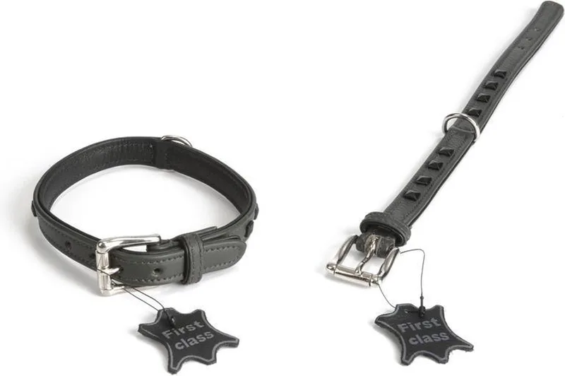 Leren halsband Stud. by Beeztees in Grey – product photo
