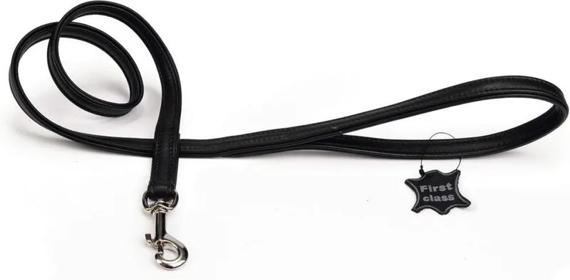 Leren looplijn Active. by Beeztees in Black – product photo
