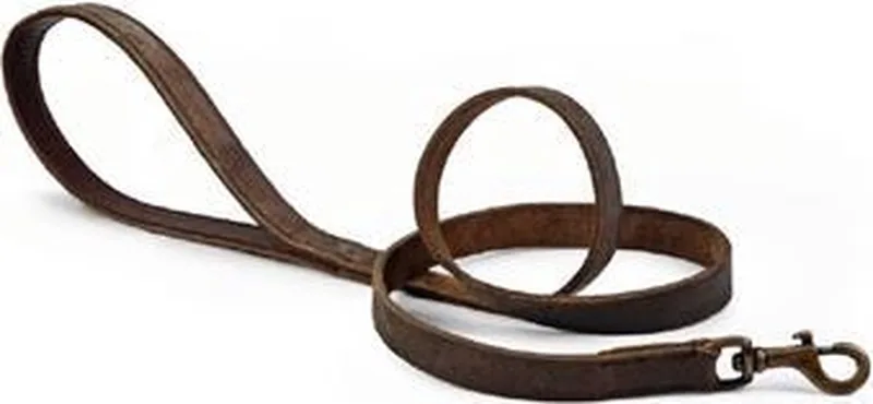 Leren looplijn Jumana. by Beeztees in Brown – product photo