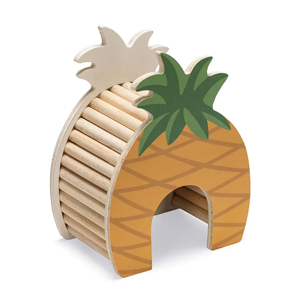 Maison De Hamster Pineapple van Beeztees – productfoto