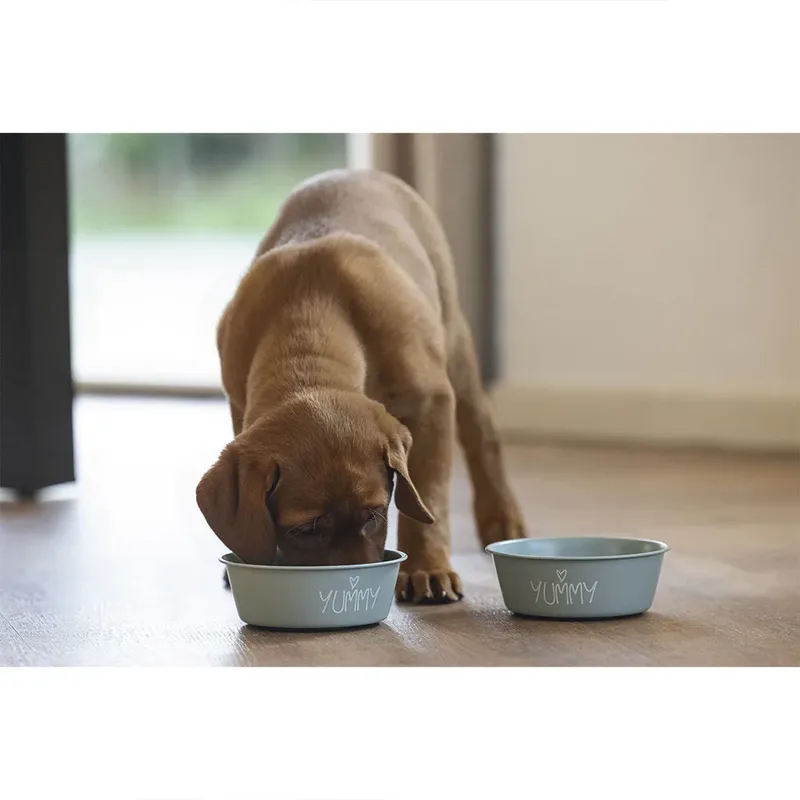 Mangeoire Pour Chien Yummy von Beeztees – Produktfoto 2 von 2