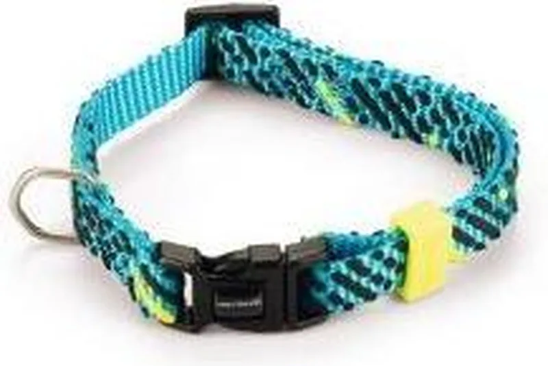 Memphis Halsband Hond Nylon - Licht 20-30cm de Beeztees en Bleu – photo produit
