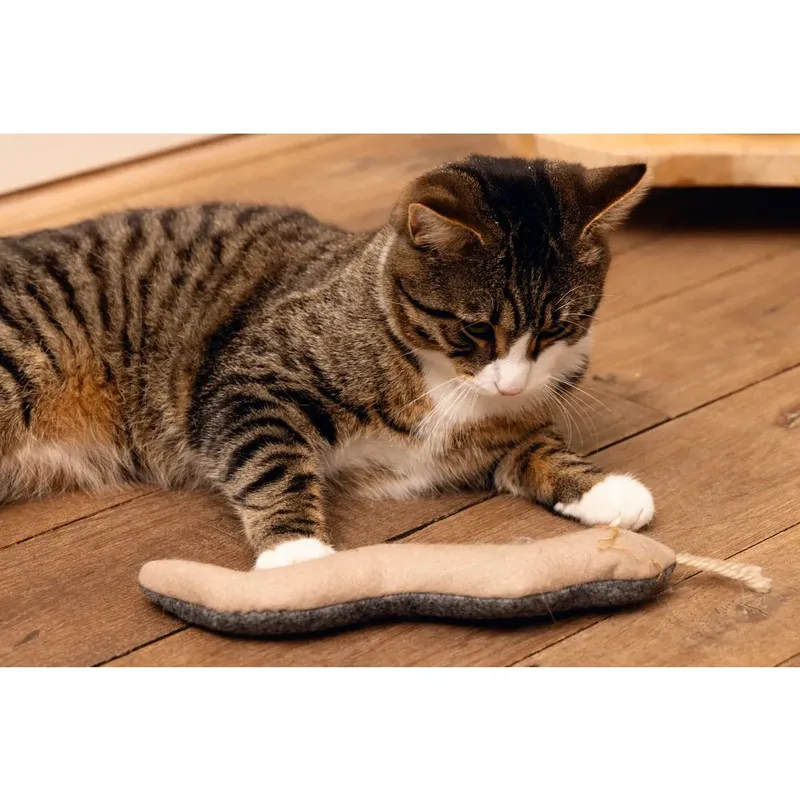 Minus One Slang Duncan - Kattenspeelgoed - Bruin/Grijs 25 x5 cm von Beeztees in Grau – Produktfoto 3 von 3