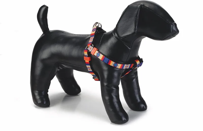 nylon borsttuig Huvos 60-100 cm * 25 mm - instaptuig hondentuig by Beeztees in Multicolour – product photo