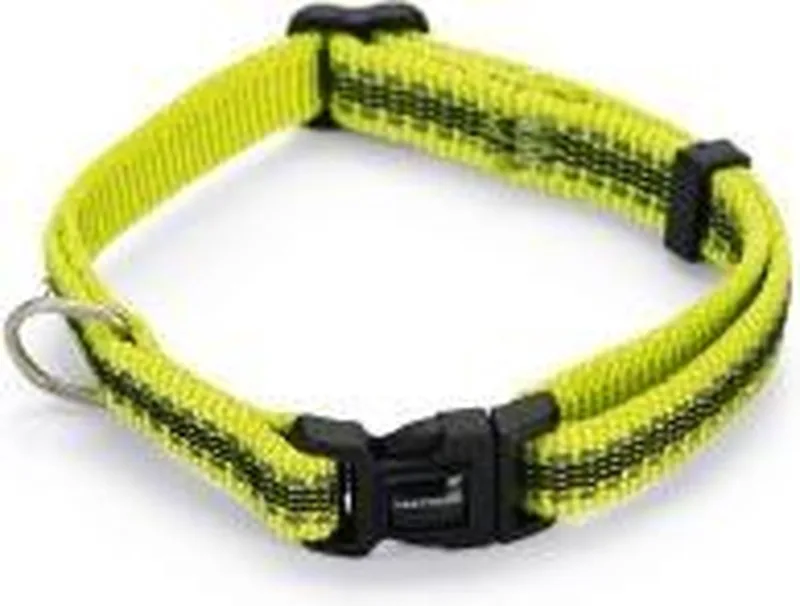 nylon halsband Cabo 20 - 30 cm x 10 mm by Beeztees in Yellow – product photo