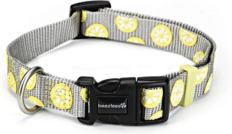 Nylon halsband Lemon 35-50cm by Beeztees in Light grey – product photo