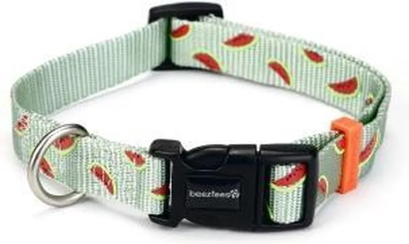 nylon halsband Melon Lichtgroen 48 - 70 cm x 25 mm von Beeztees in Grün – Produktfoto