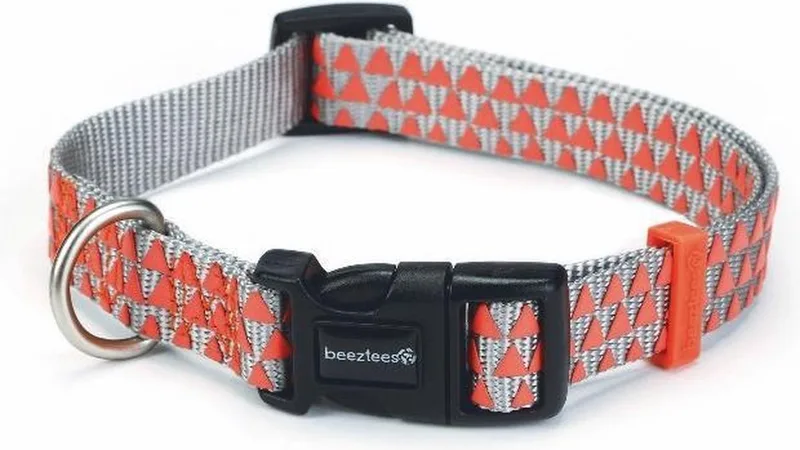 Nylon halsband Triangle 20-30cm by Beeztees in Grey – product photo