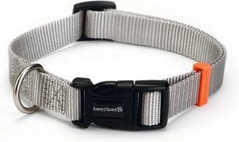 Nylon halsband Uni 20-30 cm x 1,0 cm by Beeztees in Grey – product photo