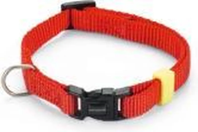 nylon halsband uni 20-30 cm x 10 mm by Beeztees in Red – product photo
