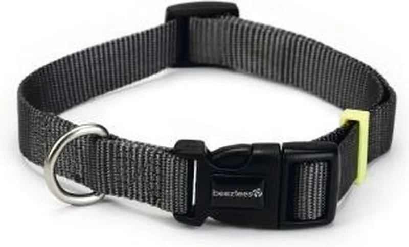 nylon halsband uni 26-40 cm x 15 mm de Beeztees en Gris foncé – photo produit