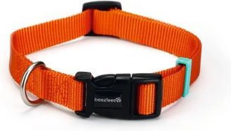 nylon halsband Uni 48-70x25 de Beeztees en Orange – photo produit
