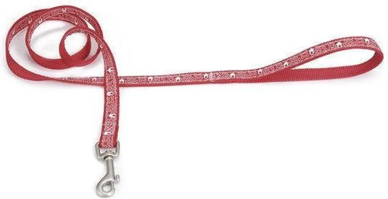 Nylon looplijn Bones. by Beeztees in Red – product photo