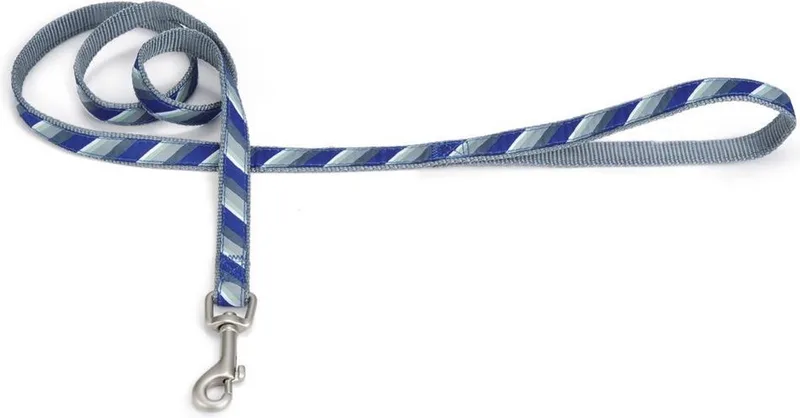 Nylon looplijn Diago. by Beeztees in Blue – product photo