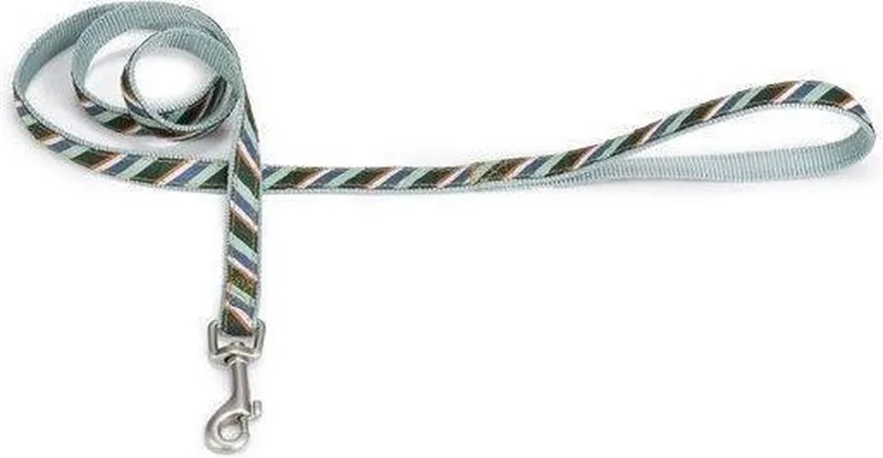 Nylon looplijn Diago. by Beeztees in Mint – product photo