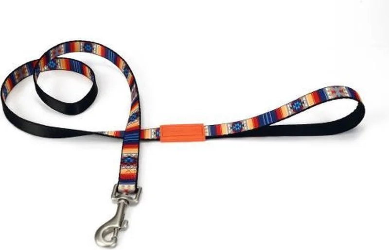 nylon looplijn Huvos 120 cm x 20 mm von Beeztees in Mehrfarbig – Produktfoto