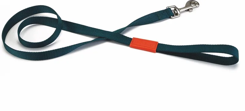 nylon looplijn uni dark green 120x20mm by Beeztees in Green – product photo