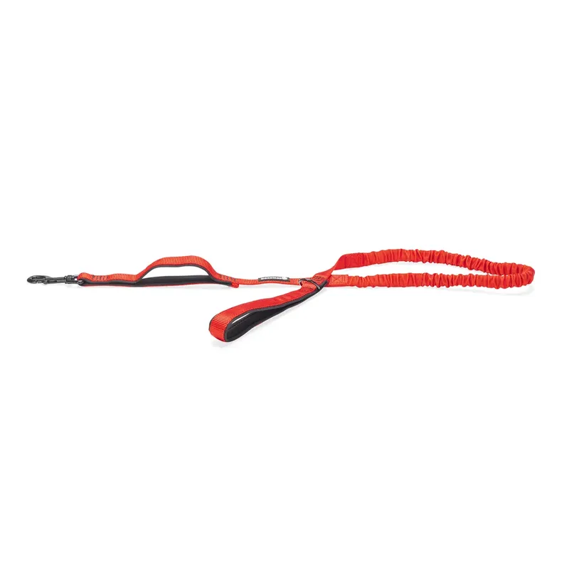 Parinca Elastic Hondenriem fra Beeztees – produktbillede