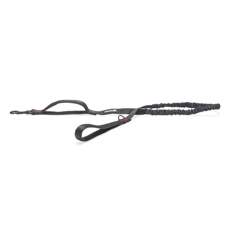 Parinca Elastic Hondenriem von Beeztees – Produktfoto
