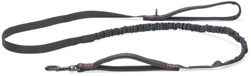 Parinca Premium Elastische Hondenriem - Hondenlijn - Weersbestendig - Nylon - 180cmx20mm fra Beeztees i Sort – produktbillede