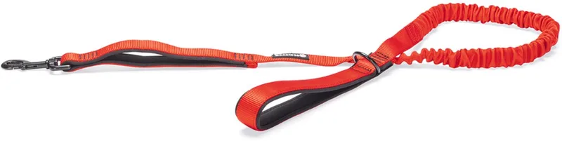 Parinca Premium Elastische Hondenriem - Hondenlijn - Weersbestendig - Nylon - 120cmx25mm by Beeztees in Red – product photo