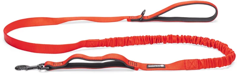 Parinca Premium Elastische Hondenriem - Hondenlijn - Weersbestendig - Nylon - 180cmx25mm by Beeztees in Red – product photo