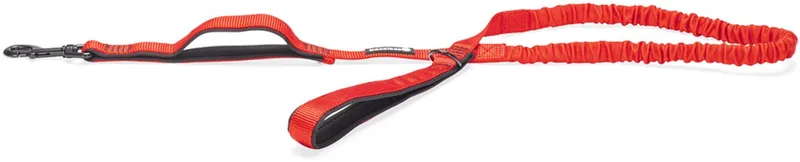 Parinca Premium Elastische Hondenriem - Hondenlijn - Weersbestendig - Nylon - 120cmx20mm von Beeztees in Rot – Produktfoto