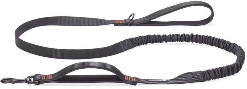 Parinca Premium Elastische Hondenriem - Hondenlijn - Weersbestendig - Nylon - 180cmx25mm de Beeztees en Noir – photo produit