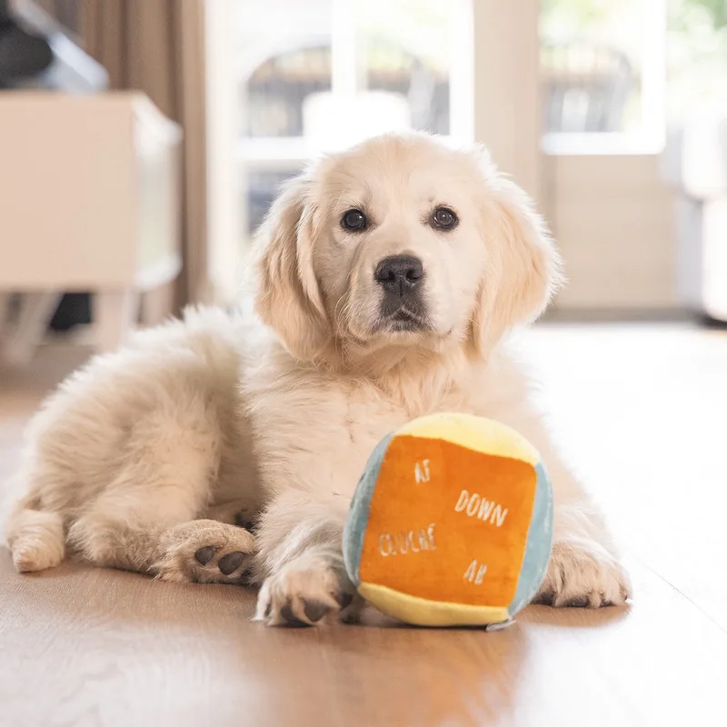 Puppy Knuffel Kubus fra Beeztees – produktbillede
