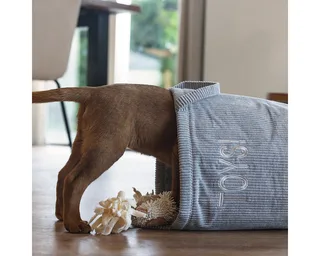 Puppy Speelgoedmand Suus - Puppy Speelgoed - Hondenspeelgoed - Hond - 30x30x30 cm de Beeztees en Gris – photo produit 3 sur 4