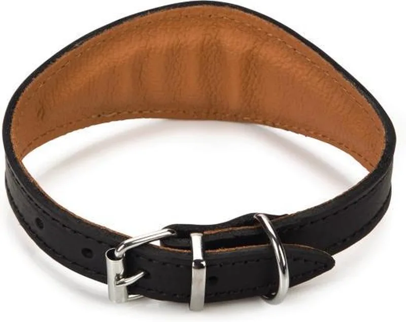 Rondo Windhond - Hondenhalsband - 29,5-35,5 cm x 50 mm de Beeztees en Noir – photo produit