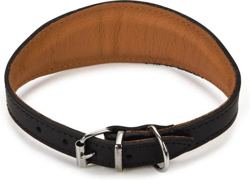Rondo Windhond - Hondenhalsband - 34,5-40 cm x 50 mm de Beeztees en Noir – photo produit