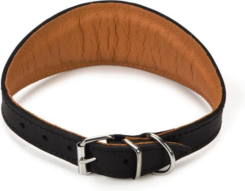 Rondo Windhond - Hondenhalsband - 36-44 cm x 50 mm by Beeztees in Black – product photo