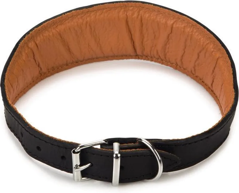 Rondo Windhond - Hondenhalsband - 42-50 cm x 50 mm de Beeztees en Noir – photo produit