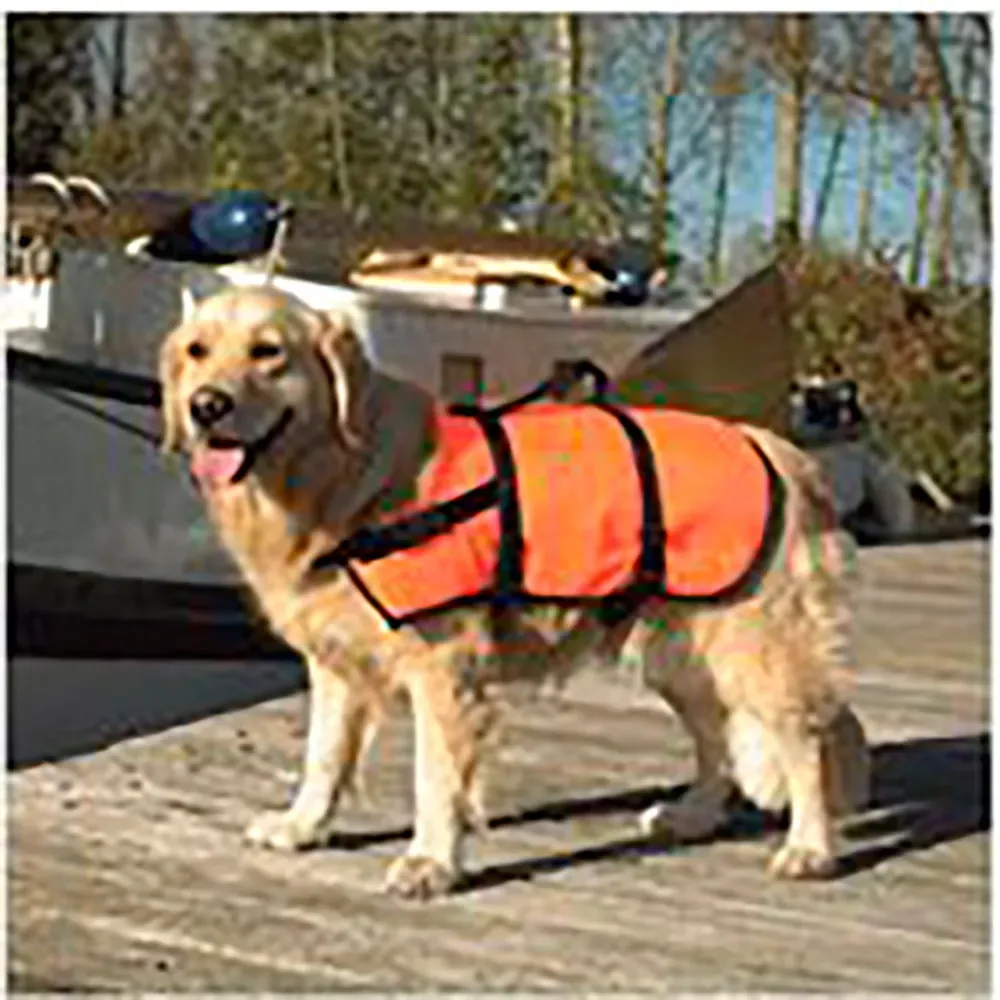 Safety & Swim Hondenjas van Beeztees – productfoto