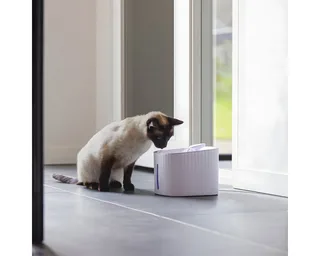 Sjors Drinkfontein Kat 3L - Plastic - Grote inhoud 3 liter - Stil von Beeztees in Weiß – Produktfoto 5 von 5