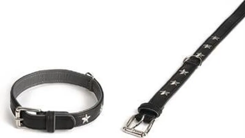 Stars Hondenhalsband - Leer - 31-39 cm x 22 mm de Beeztees en Noir – photo produit