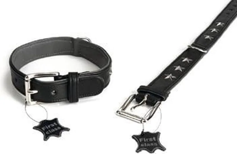 Stars Hondenhalsband - Leer - 37-45 cm x 35 mm de Beeztees en Noir – photo produit
