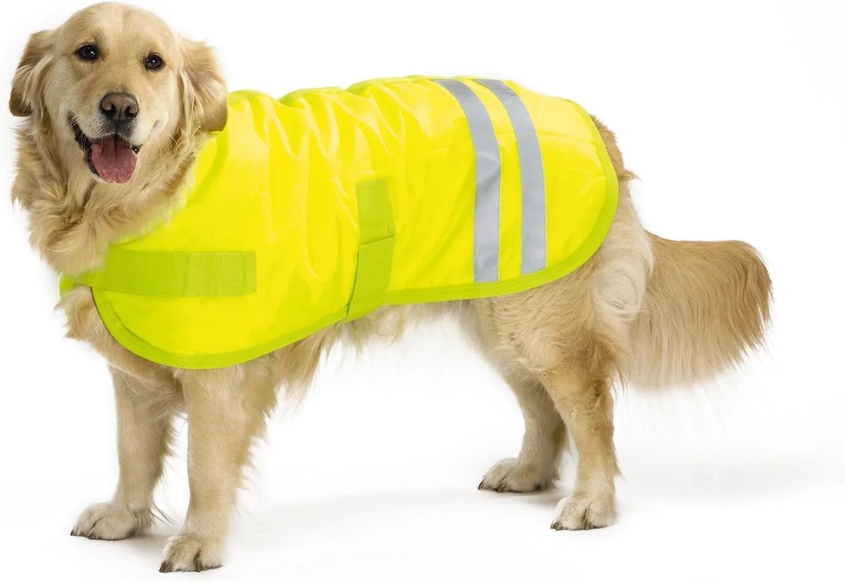 Teddie - Hondenjas - Reflecterend - 50 cm de Beeztees en Jaune – photo produit