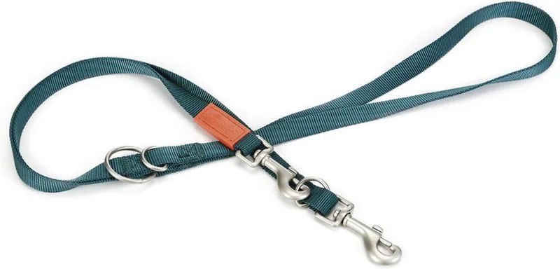 Uni - Hondenriem - 200 cm x 20 mm by Beeztees in Dark green – product photo