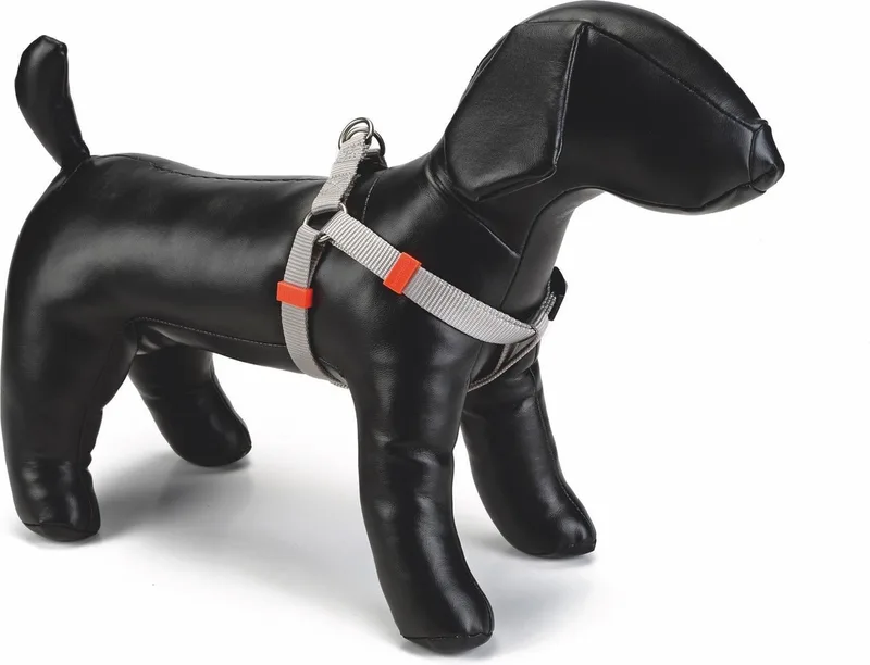 Uni - Hondentuig - Lichtgrijs - 46-75 cm x 20 mm de Beeztees en Gris – photo produit