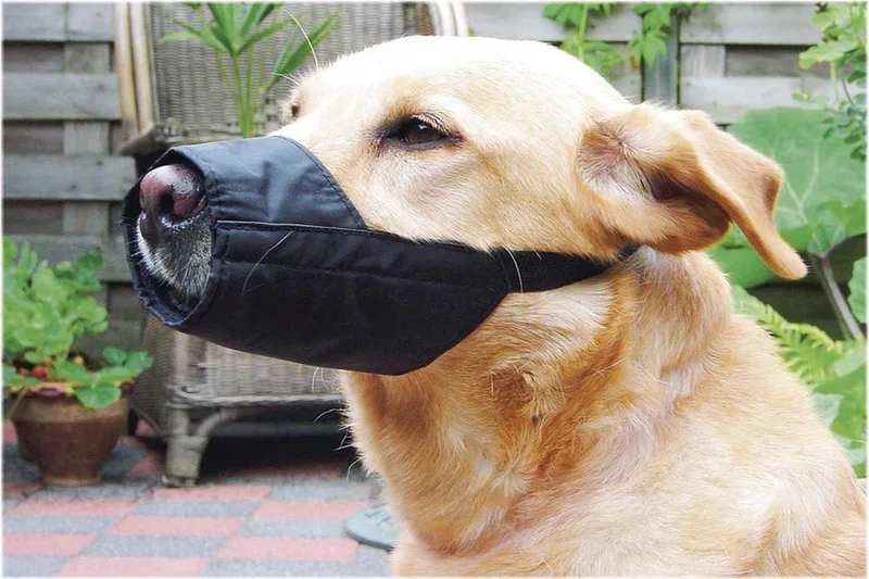 Veiligheid muilband Nylon XL - 24 cm - Muilkorf Hond - Normaal von Beeztees in Schwarz – Produktfoto
