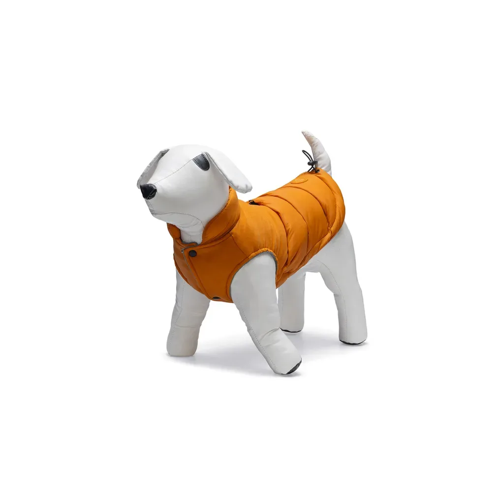 Wisti Hundejacke von Beeztees – Produktfoto