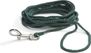 Zoeklijn - Hondenriem - Nylon - 15M by Beeztees in Green – product photo 1 of 2