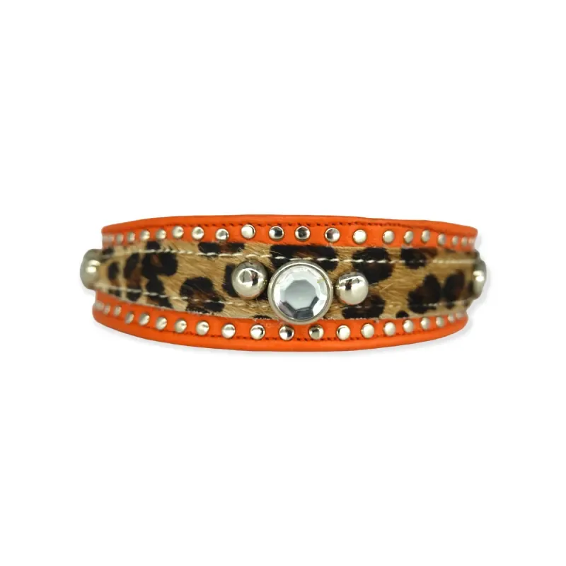 Hundehalsband kambuku #26 de Bellerei – photo produit